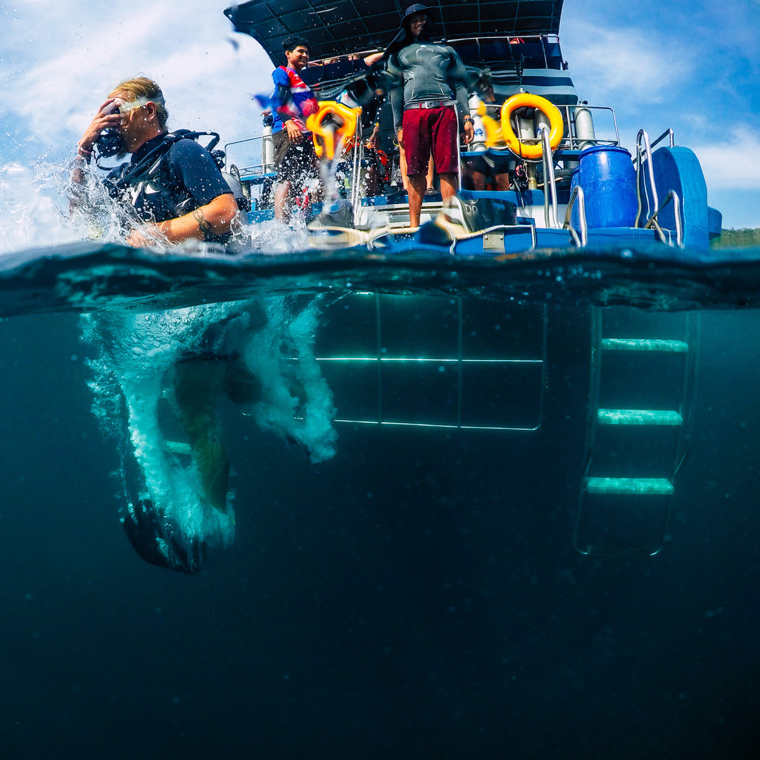 PADI Open Water Diver Course (from Rhodes Town)